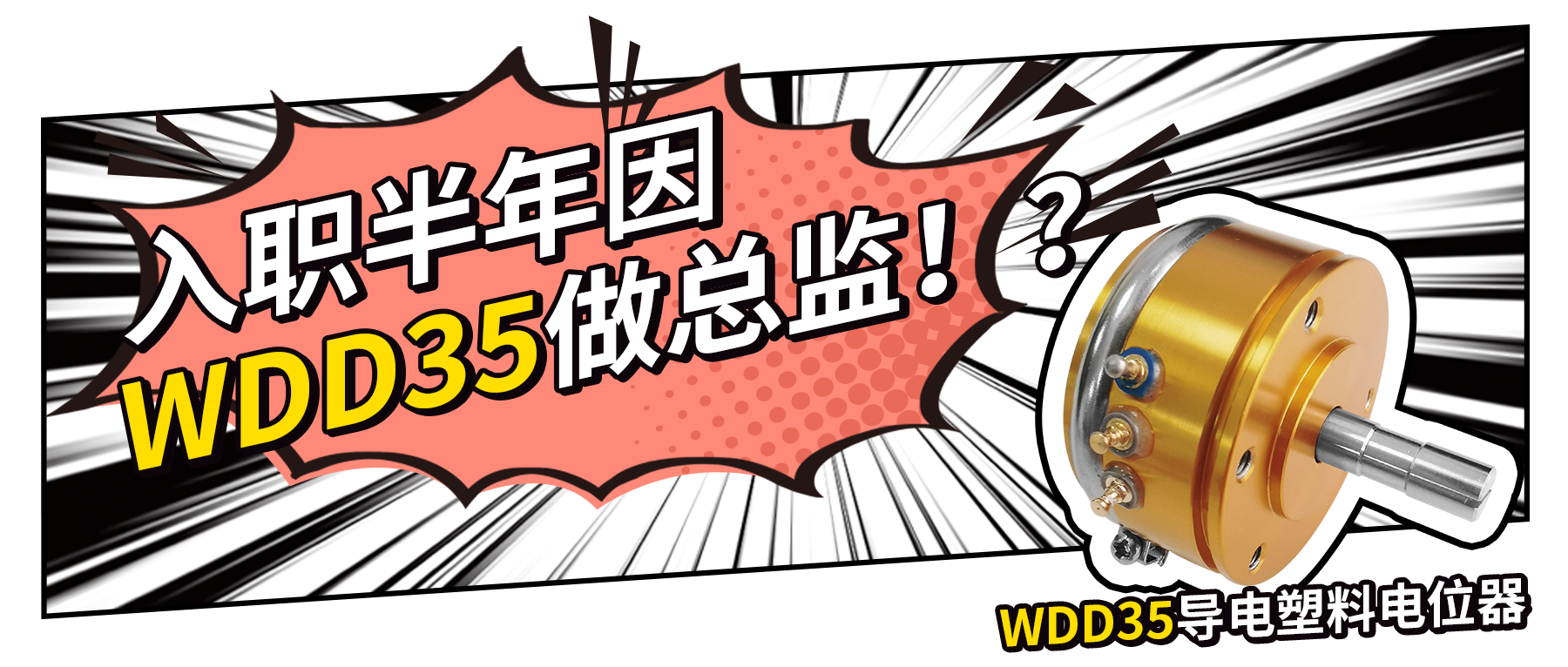 入職半年因WDD35做總監(jiān)？！